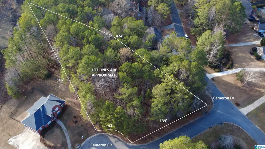 200 CAMERON CIRCLE, Chelsea, AL 35043 - #2