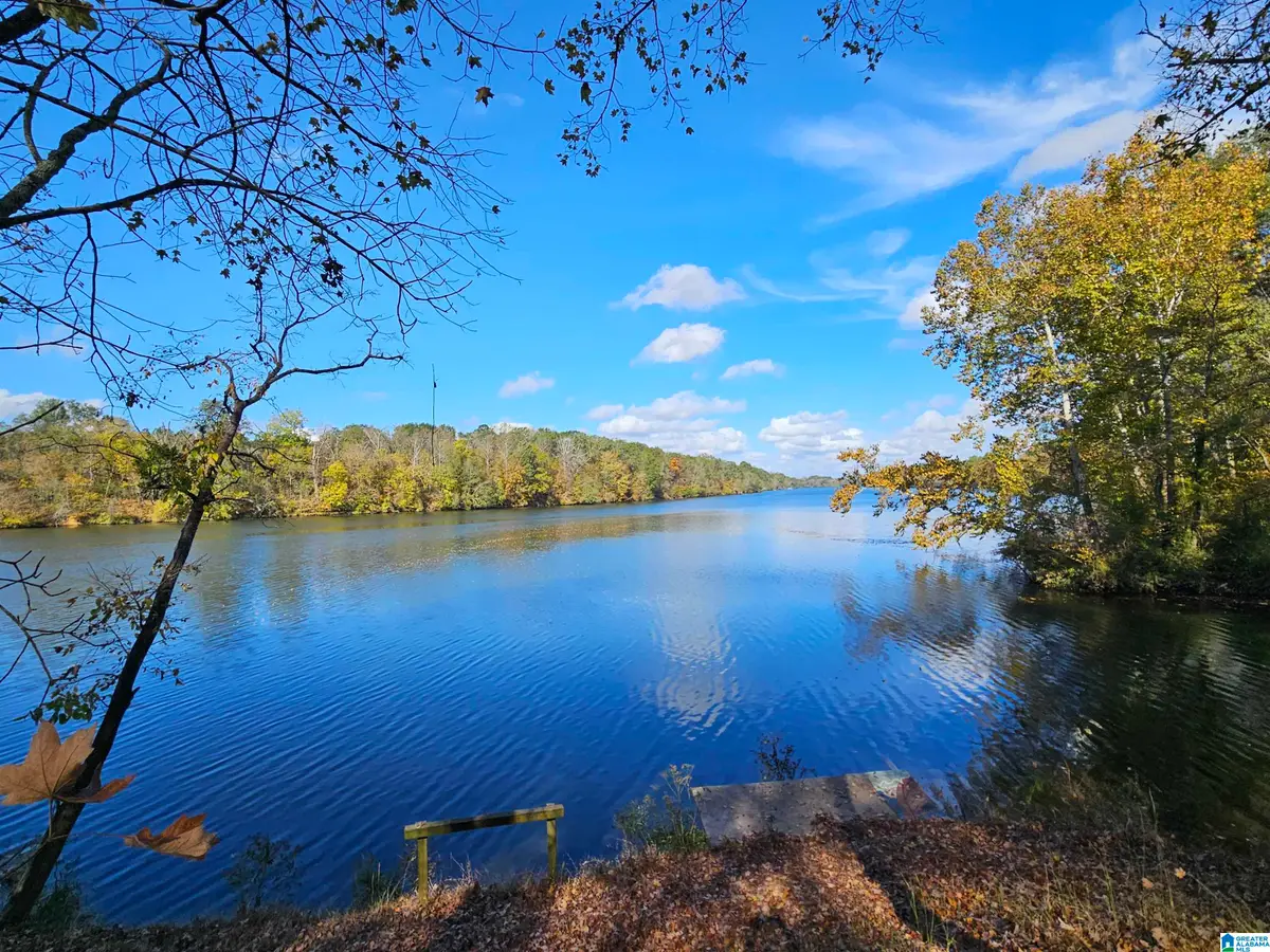 14536 PLANT ROAD, Alpine, AL 35014 - Image #1