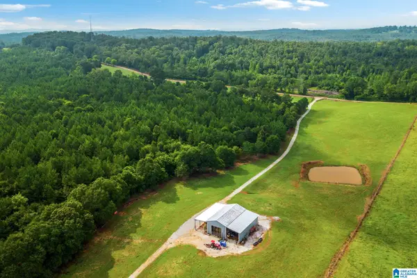 1015 SAINT MARY ROAD, Lincoln, AL 35096