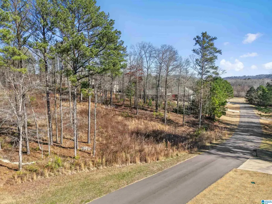 100 GRACE WAY, Odenville, AL 35120 - Image #2