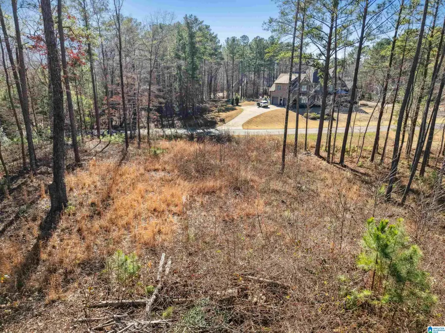 100 GRACE WAY, Odenville, AL 35120 - Image #3