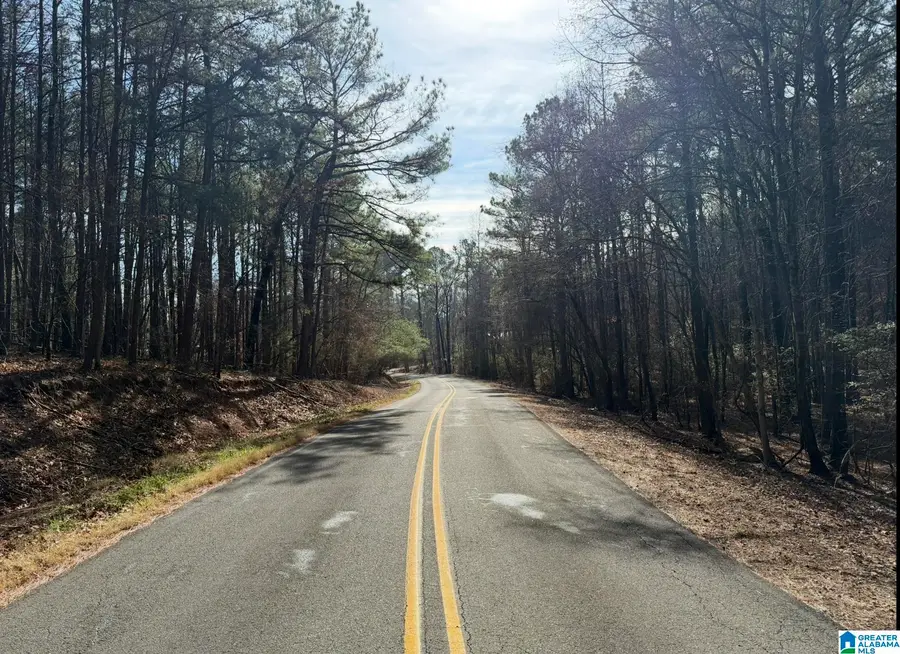 2550 CREEL ROAD, Morris, AL 35116 - Image #2