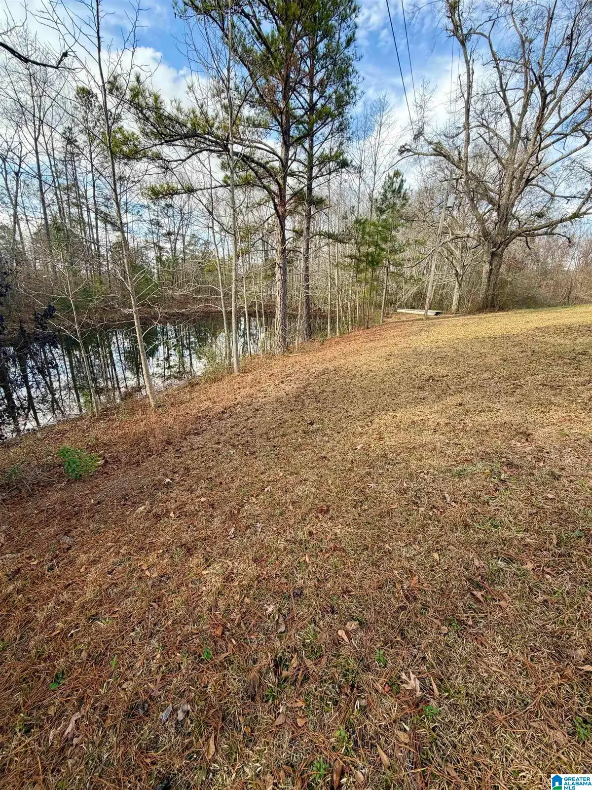 3719 COUNTY ROAD 32, Clanton, AL 35046 - Image #1