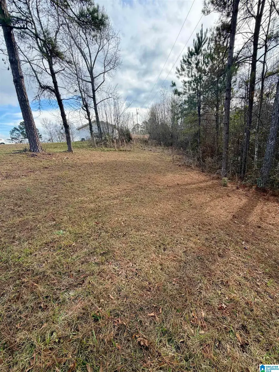 3719 COUNTY ROAD 32, Clanton, AL 35046 - Image #3