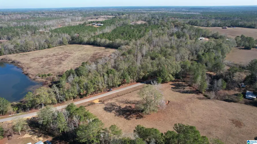 0 WILKERSON ROAD, Georgiana, AL 36033 - Image #2