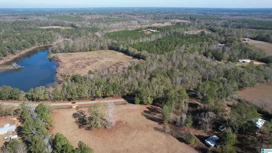 0 WILKERSON ROAD, Georgiana, AL 36033 - Image #3