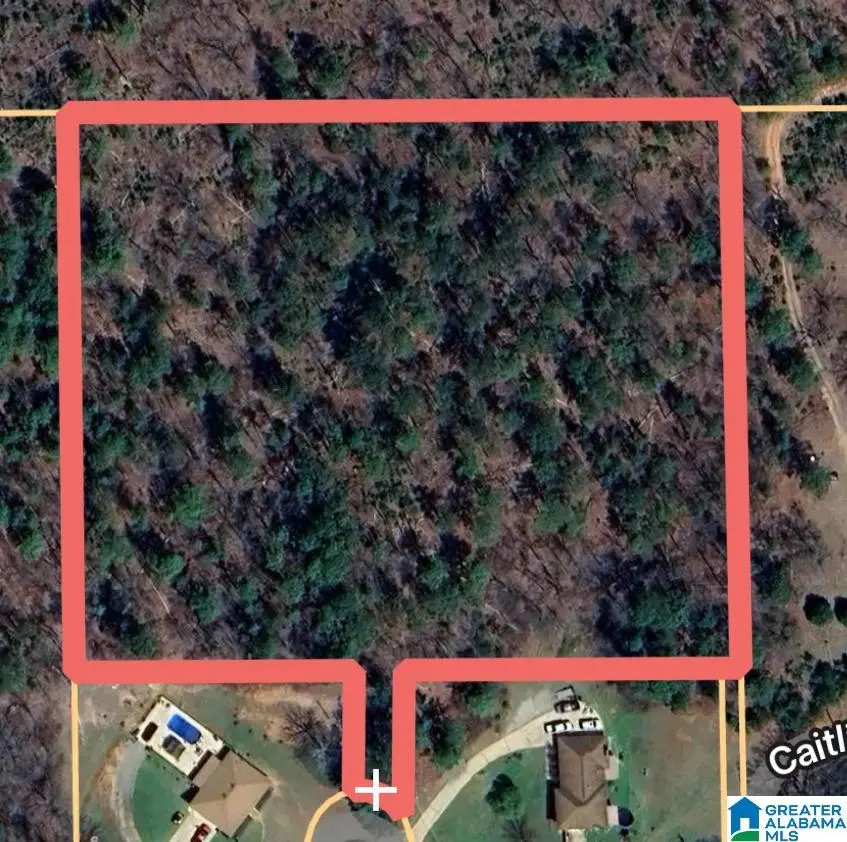 0 MONTA VISTA ROAD, Oxford, AL 36203 - Image #2
