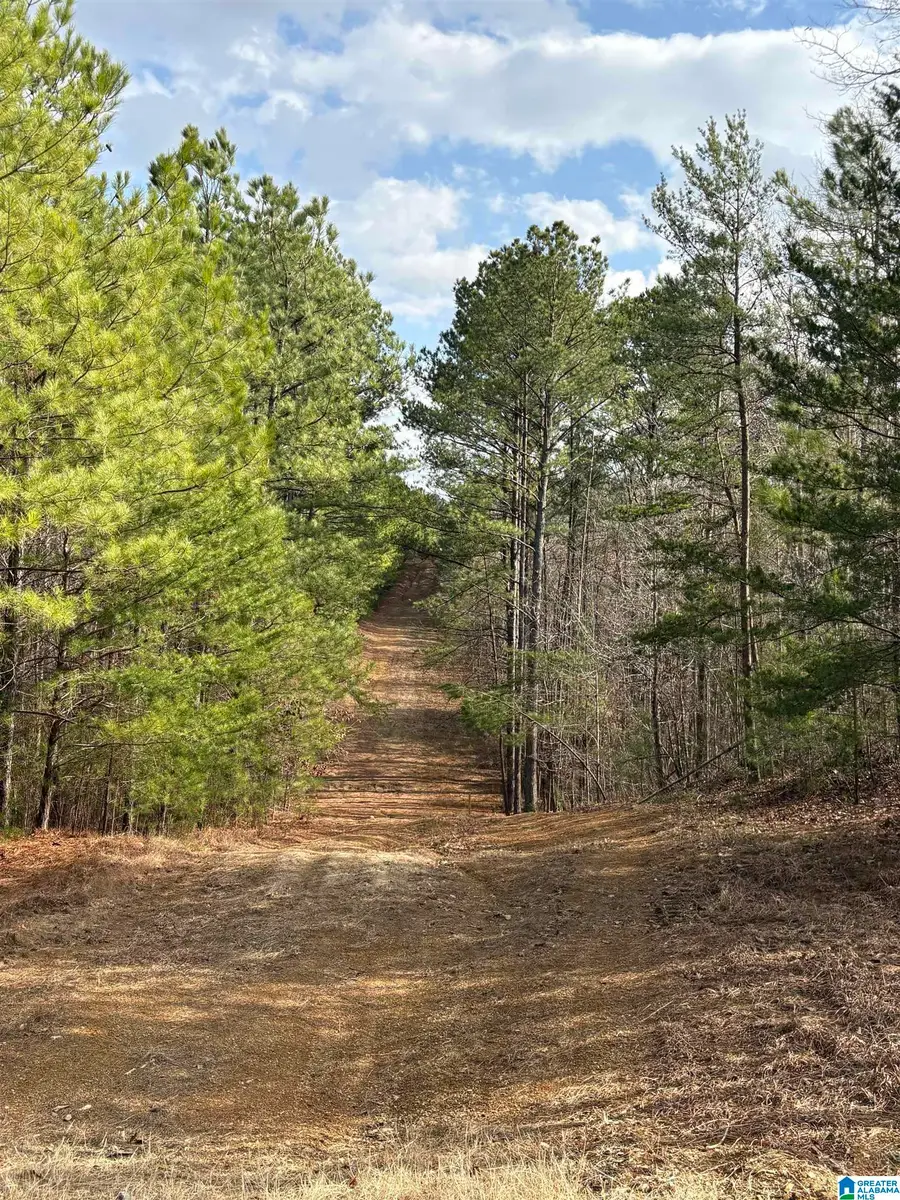 0 HIGHWAY 191, Maplesville, AL 36750 - Image #2