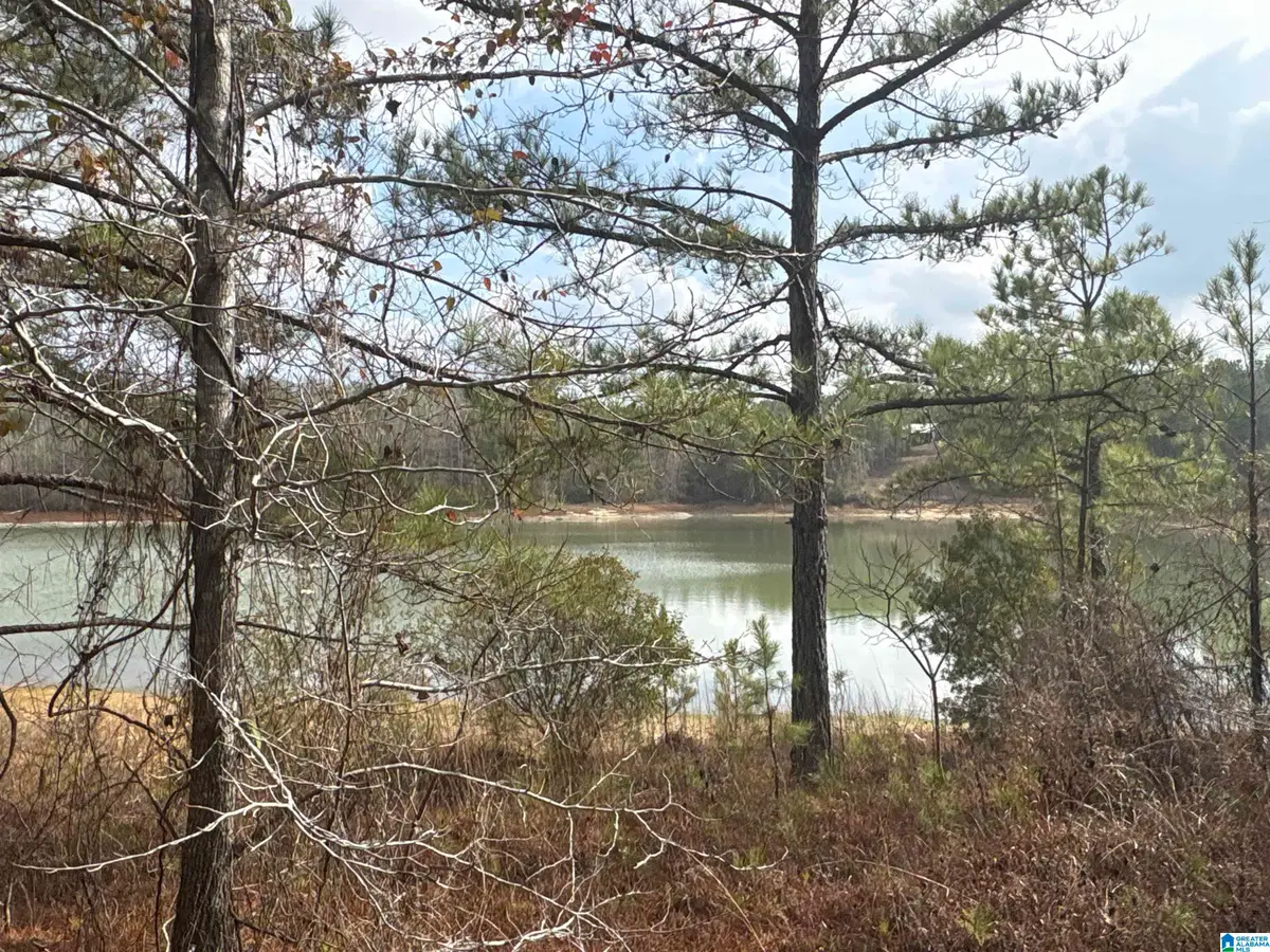 10 COUNTY ROAD 331, Maplesville, AL 36750 - Image #1