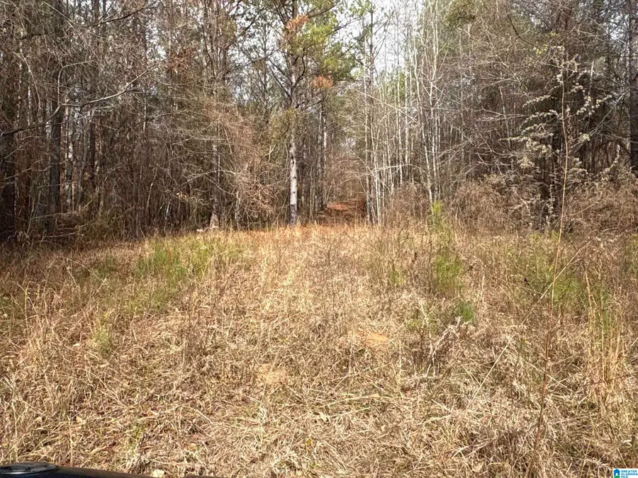 10 COUNTY ROAD 331, Maplesville, AL 36750 - Image #3