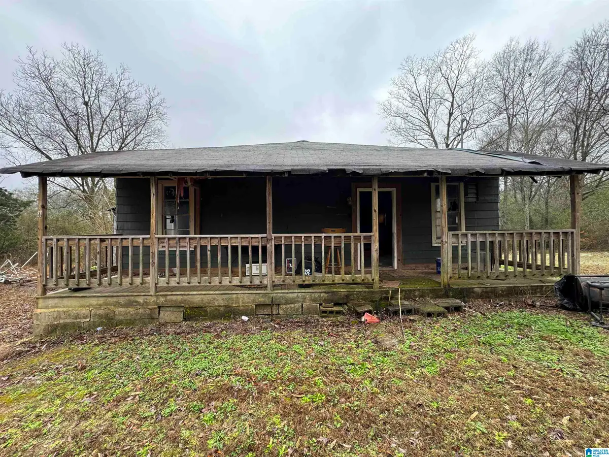 155 RAE STREET, Odenville, AL 35120 - #1