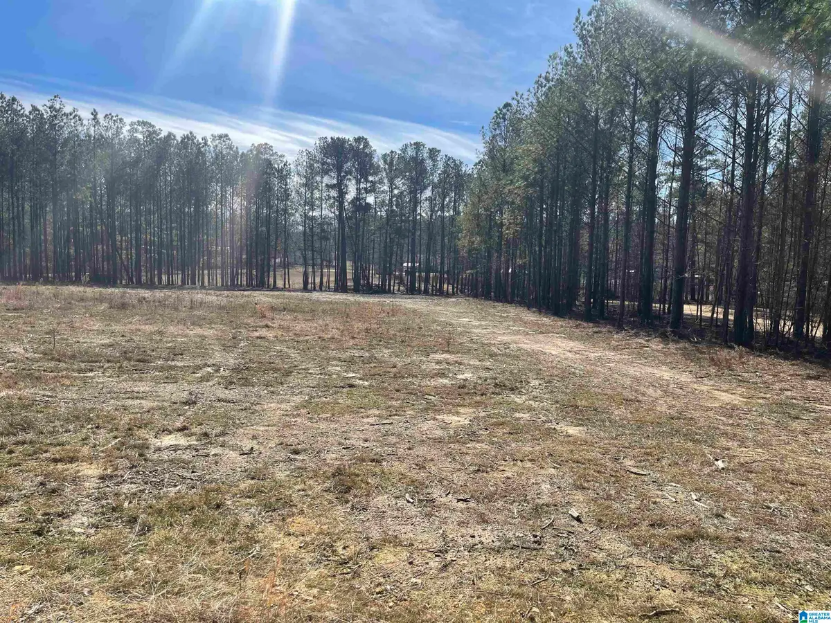 89 GOLDEN POND ROAD, Ashville, AL 35953 - Image #1