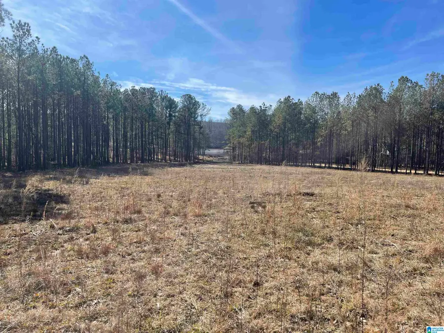 89 GOLDEN POND ROAD, Ashville, AL 35953 - Image #2