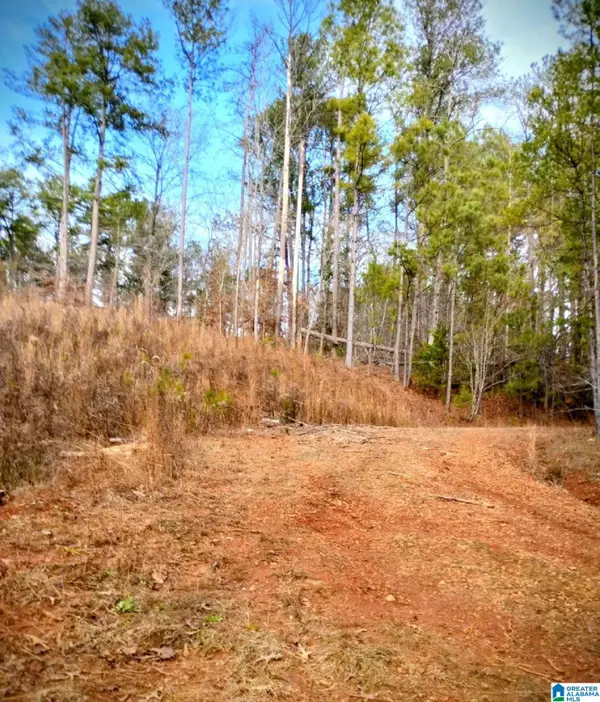 10 FOSTER CIRCLE, Lineville, AL 36266