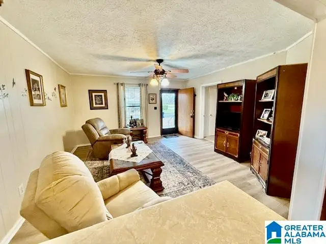 219 W LADIGA STREET, Piedmont, AL 36272 - Image #3