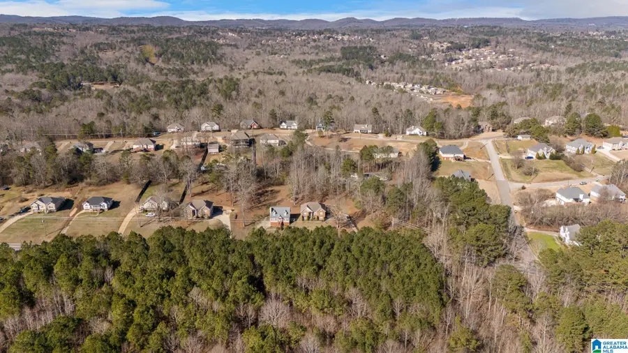 431 COUNTY ROAD 12, Odenville, AL 35120 - #3