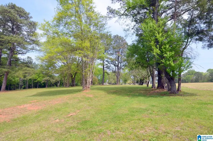 60 ROBERTSON ROAD, Wilsonville, AL 35186 - Image #3