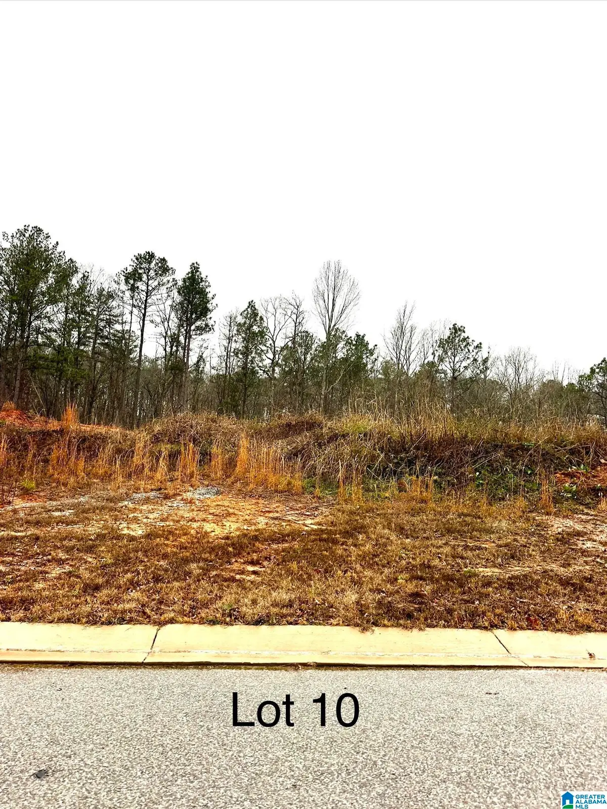 219 OLIVIA LANE, Woodstock, AL 35188 - Image #1