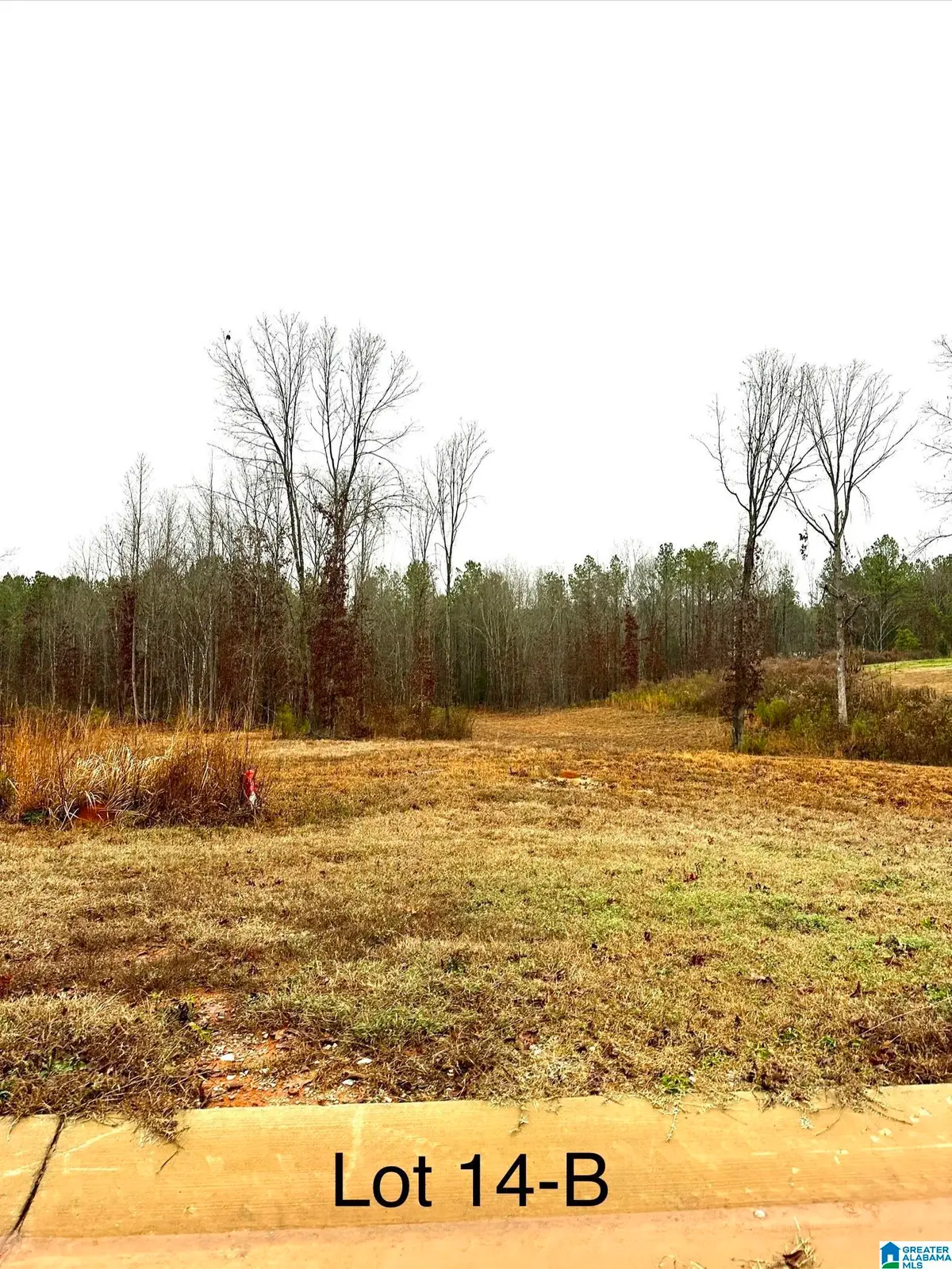 OLIVIA LANE, Woodstock, AL 35188 - Image #1