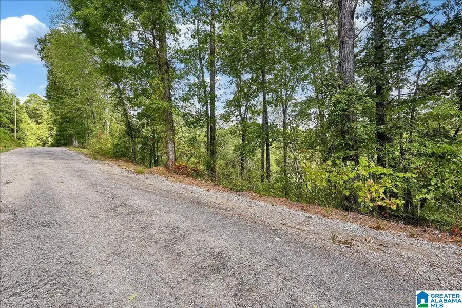 Lot 22 COUNTY ROAD 875, Crane Hill, AL 35053 - #2