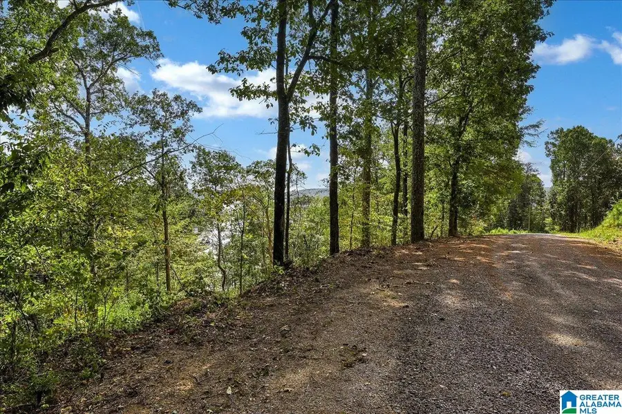 Lot 22 COUNTY ROAD 875, Crane Hill, AL 35053 - #3