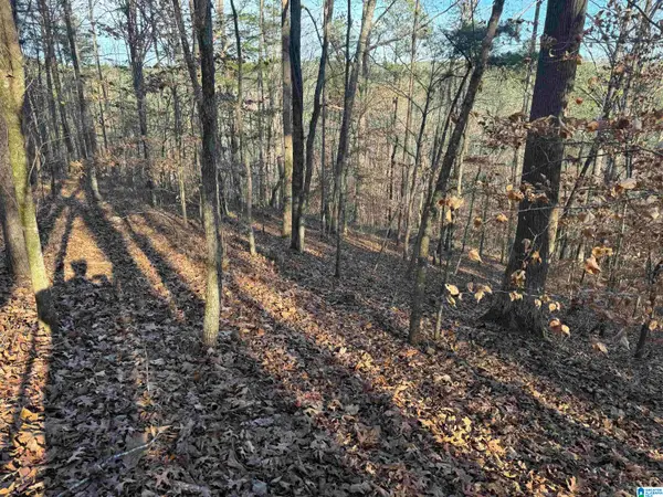 56 Acres COUNTY ROAD 202, Piedmont, AL 36272