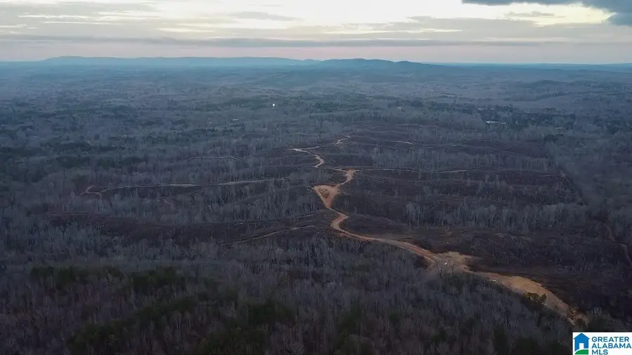 1925 COALING ROAD, Sylacauga, AL 35151 - Image #2