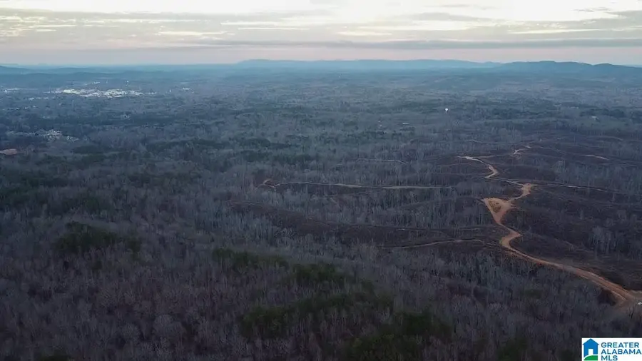 1925 COALING ROAD, Sylacauga, AL 35151 - Image #3