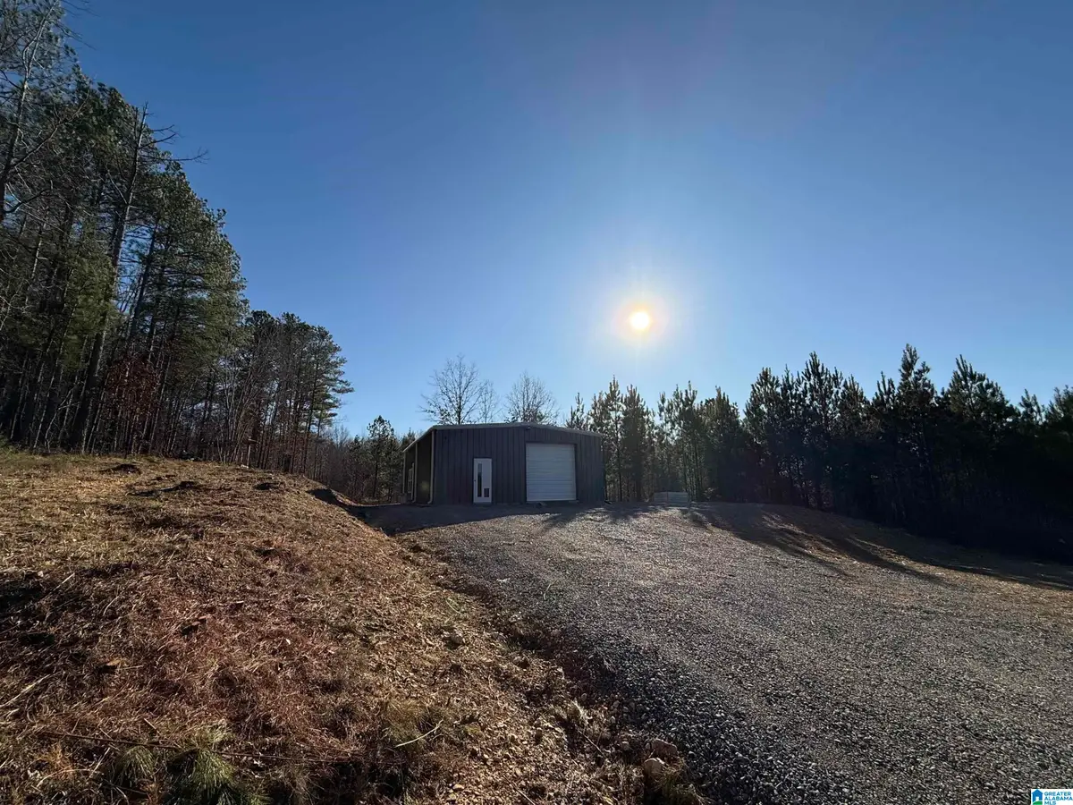 3341 JACKSON TRAIL, Altoona, AL 35952 - Image #1