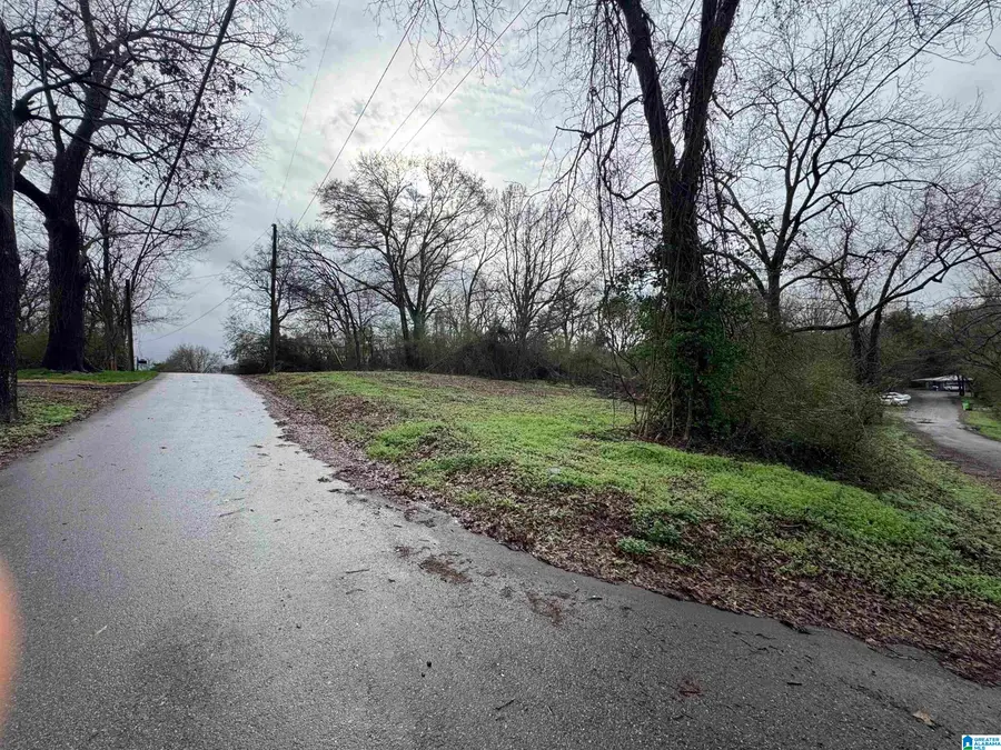 7813 CHURCHILL DRIVE, Leeds, AL 35094 - Image #2