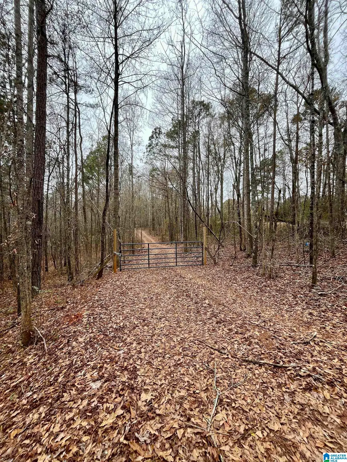 0 JESSIE ANN LANE, Ashland, AL 36251 - Image #1