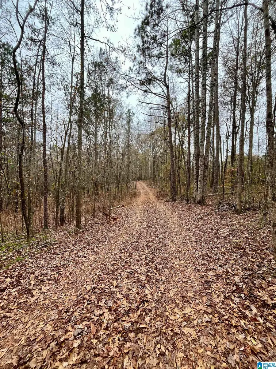 0 JESSIE ANN LANE, Ashland, AL 36251 - Image #2