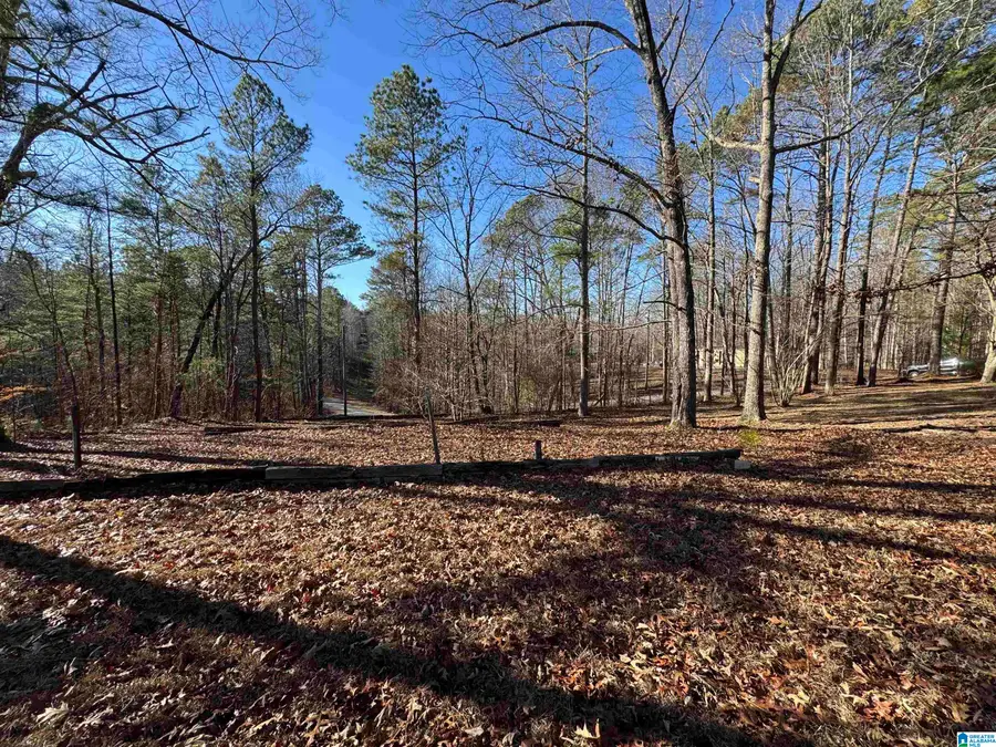 2570 MOUNT VIEW ROAD, Hayden, AL 35079 - Image #3