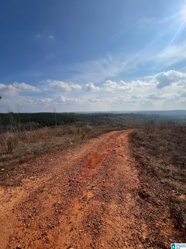 2711 MONTGOMERY HIGHWAY, Centreville, AL 35042