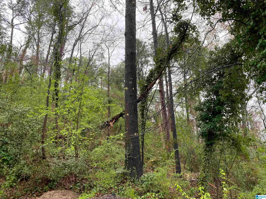 217 EDGEVIEW AVENUE, Homewood, AL 35209 - Image #3