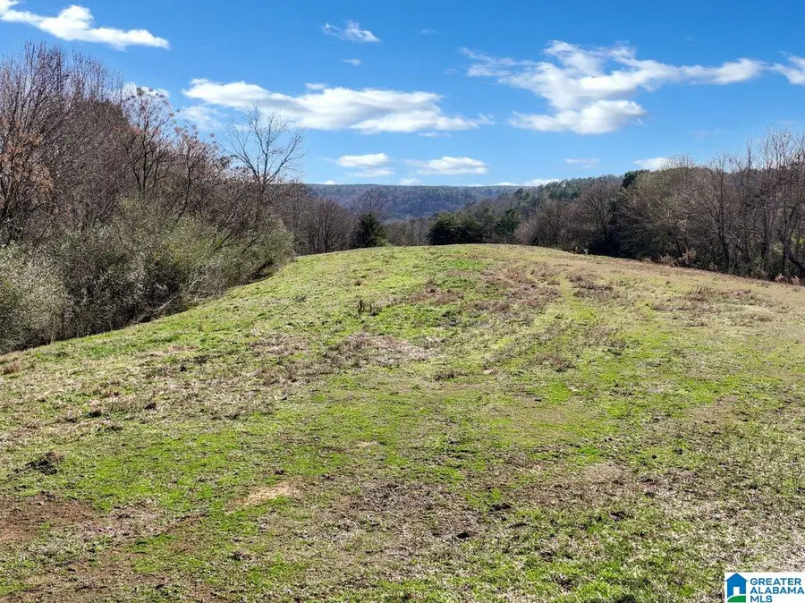 215 COUNTY ROAD 83, Bremen, AL 35033 - Image #3