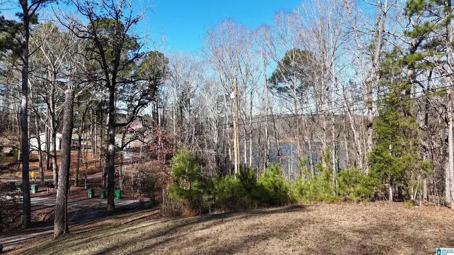 755 COUNTY ROAD 871, Crane Hill, AL 35053 - Image #3