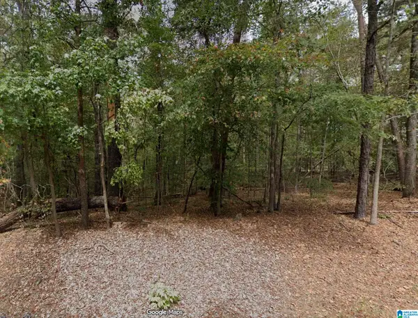 15001 LOCK 17 ROAD, Adger, AL 35006