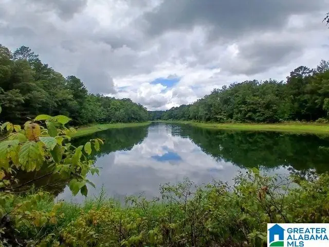 105 POINT AQUARIUS, Alpine, AL 35014 - Image #1