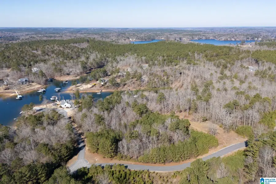 0 W COUNTY ROAD 182 W, Crane Hill, AL 35053 - #3