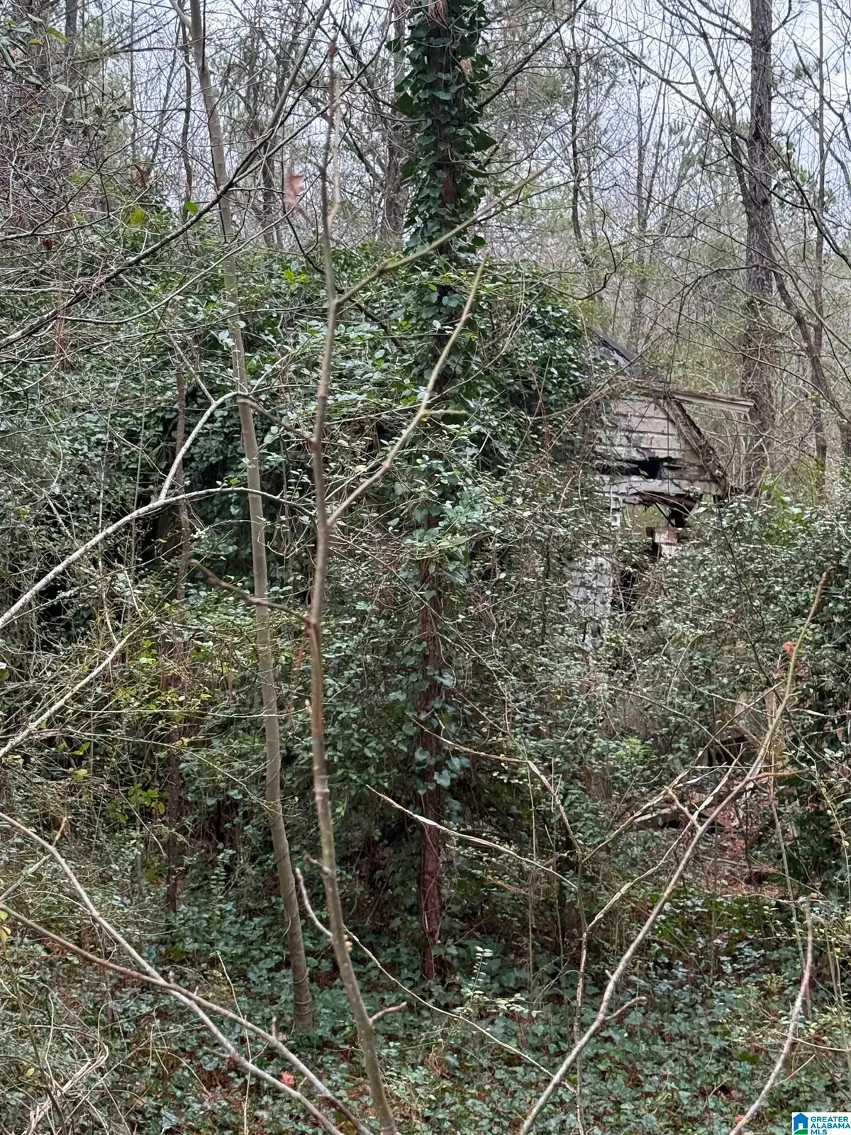 0 HWY 91, Hanceville, AL 35077 - Image #1