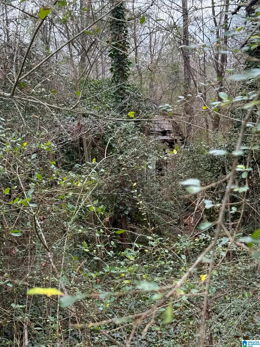 0 HWY 91, Hanceville, AL 35077 - Image #2