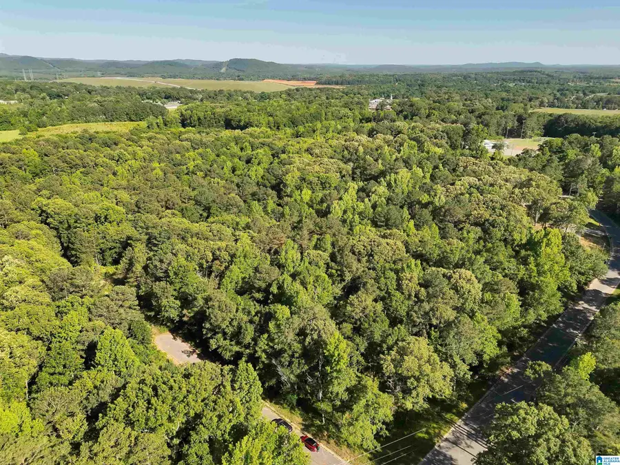 442 DAVIS STREET, Wilsonville, AL 35186 - #2
