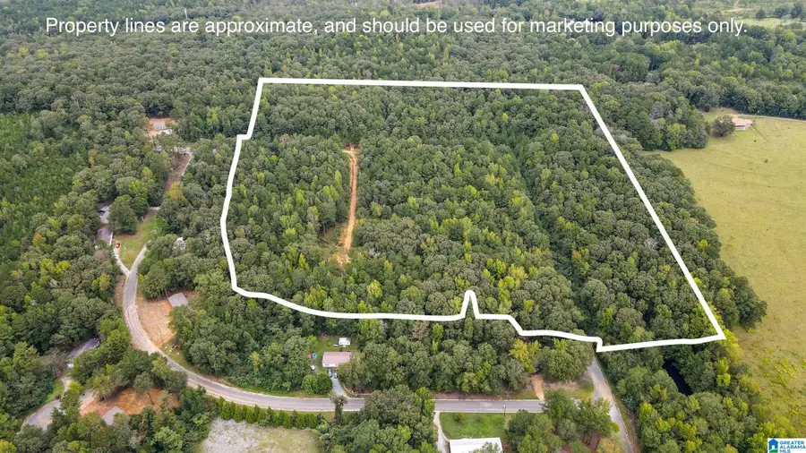 442 DAVIS STREET, Wilsonville, AL 35186 - #3