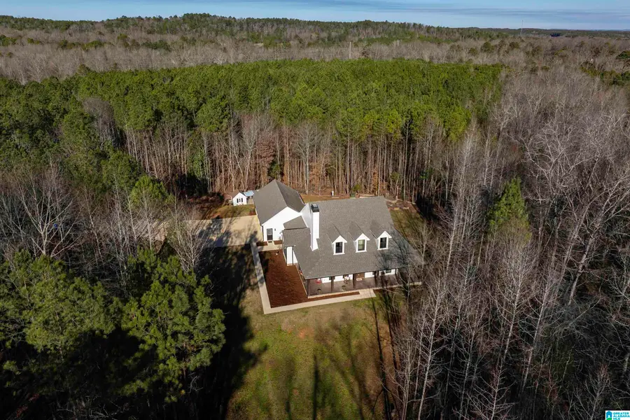 14052 COUNTY ROAD 51, Jemison, AL 35085 - Image #2