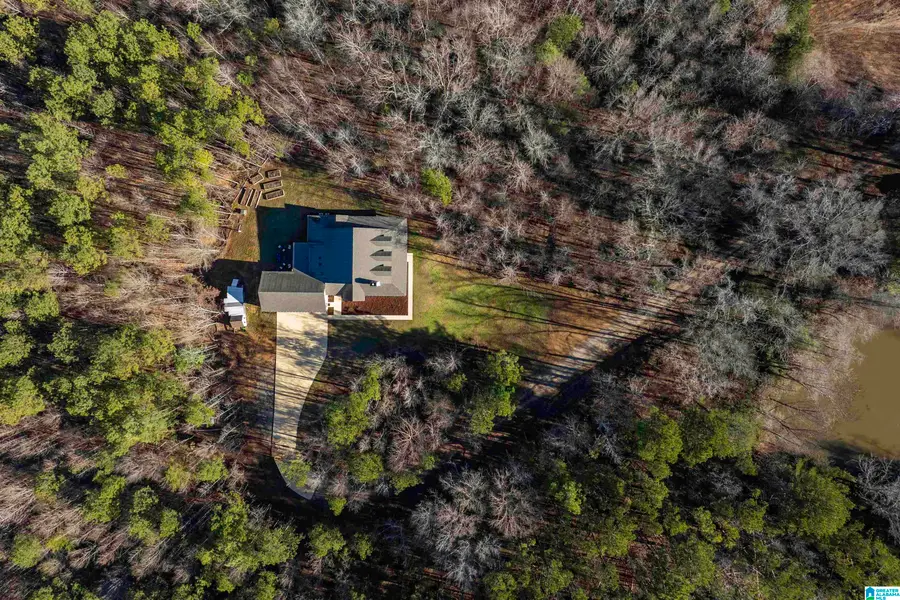 14052 COUNTY ROAD 51, Jemison, AL 35085 - Image #3