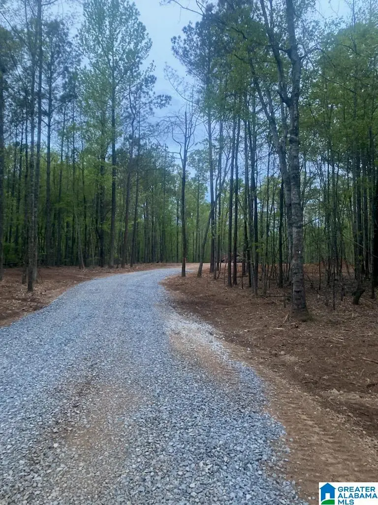 6101 HIGHWAY 145, Clanton, AL 35046 - #3