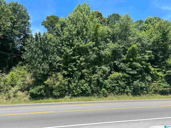 0 HIGHWAY 431, Roanoke, AL 36274