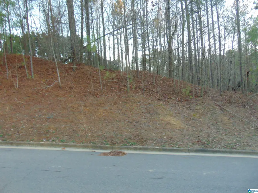 112 JEWELL CIRCLE, Birmingham, AL 35022 - Image #2