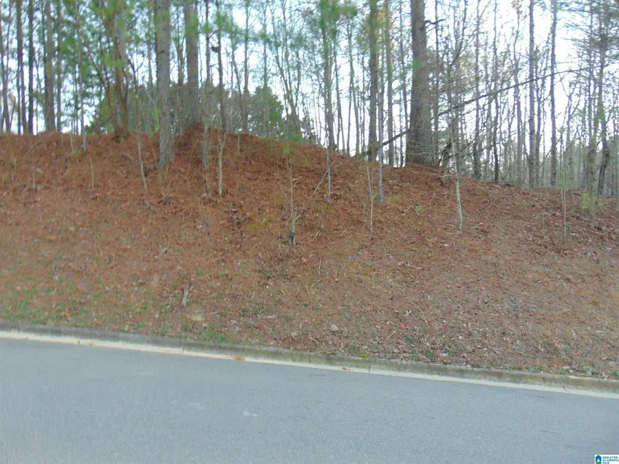 112 JEWELL CIRCLE, Birmingham, AL 35022 - Image #3